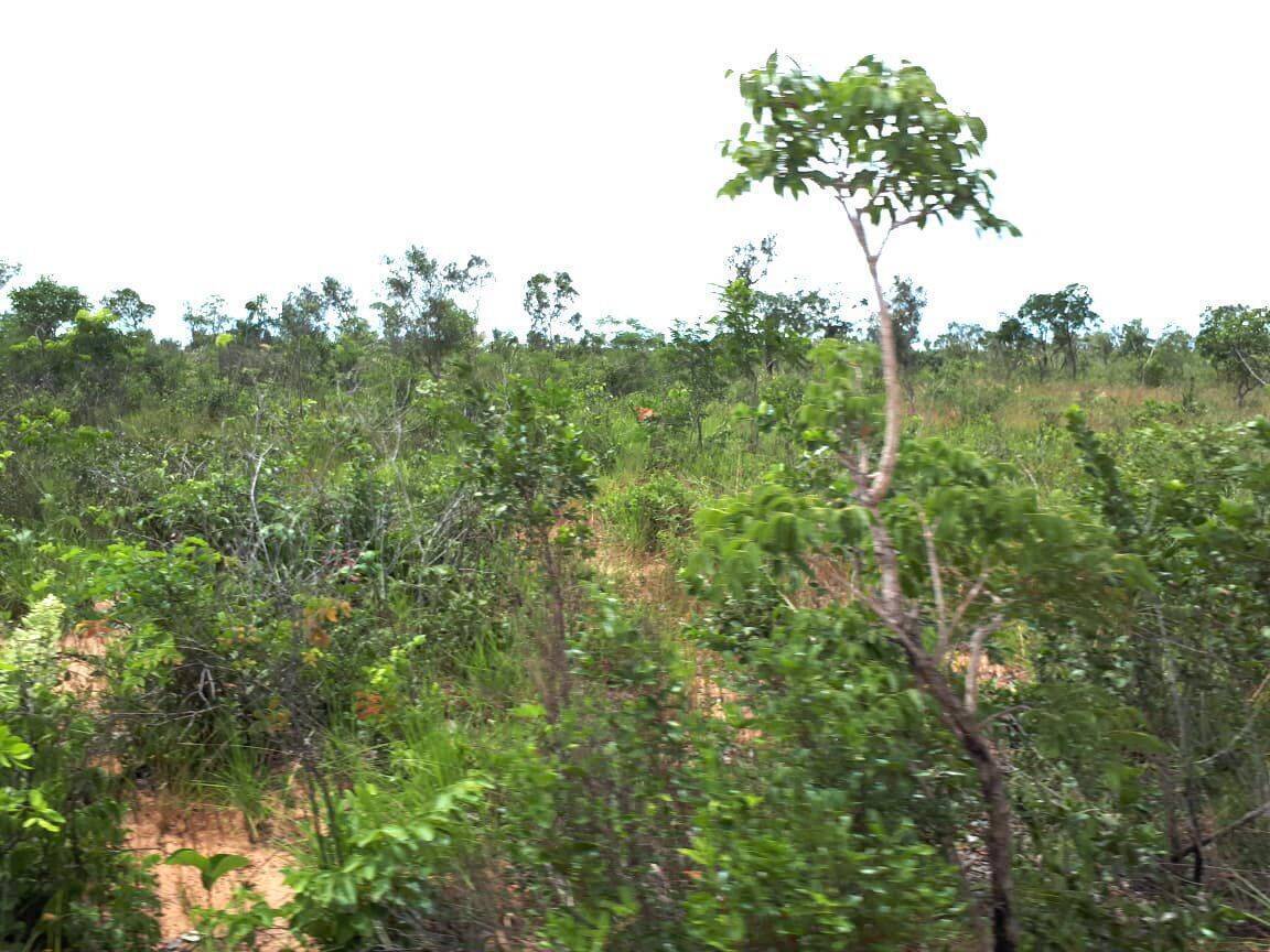 #506LL - Chácara para Venda em Lizarda - TO