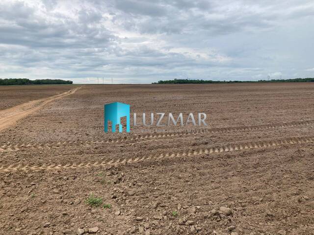 Fazenda para Venda em Gurupi - 4