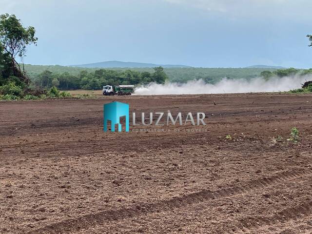 Fazenda para Venda em Gurupi - 5
