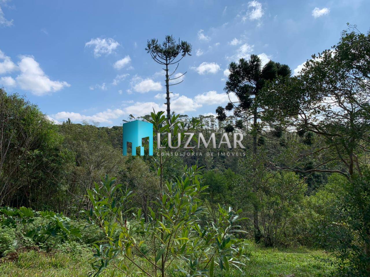 Chácara, 4 quartos, 800 m² - Foto 18