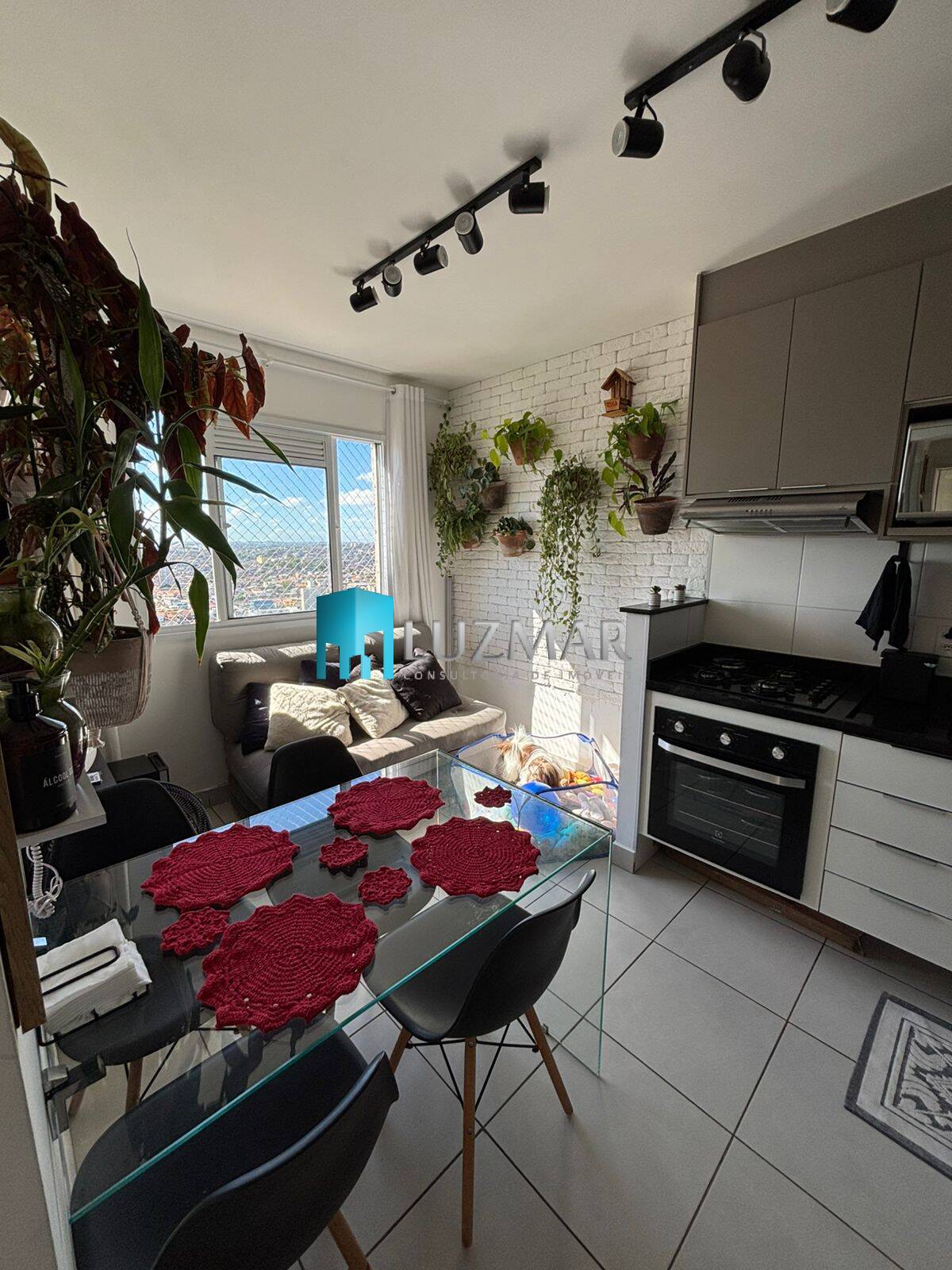 Apartamento, 2 quartos, 33 m² - Foto 20
