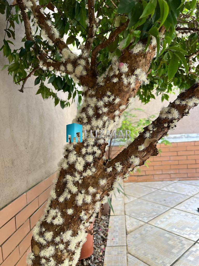 Casa, 3 quartos, 127 m² - Foto 30